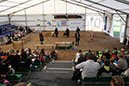 Schauvorfuehrung Kinder-MeLa