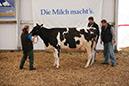 Milchleistung 14 Liter