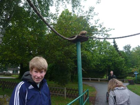03 Tierpark